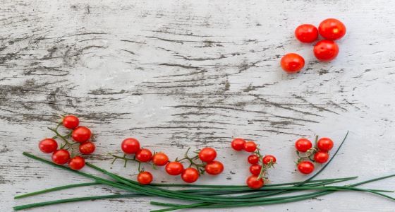 What is freedom from food?